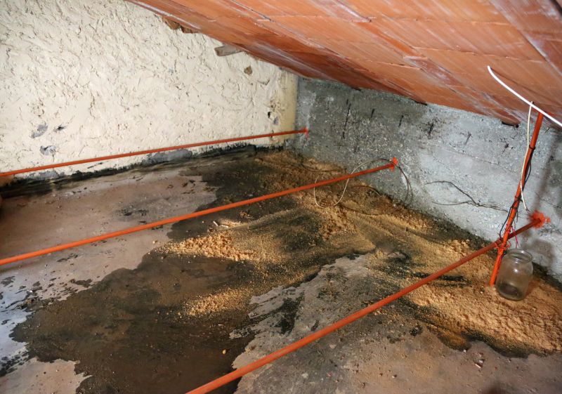 Ceiling Leak Repair Service in Conroe, TX