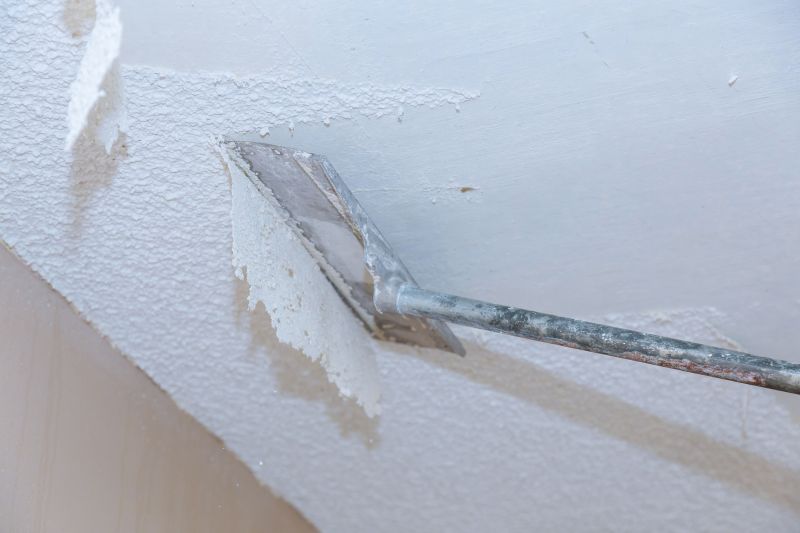 Ceiling Removal Service in Charleston, SC