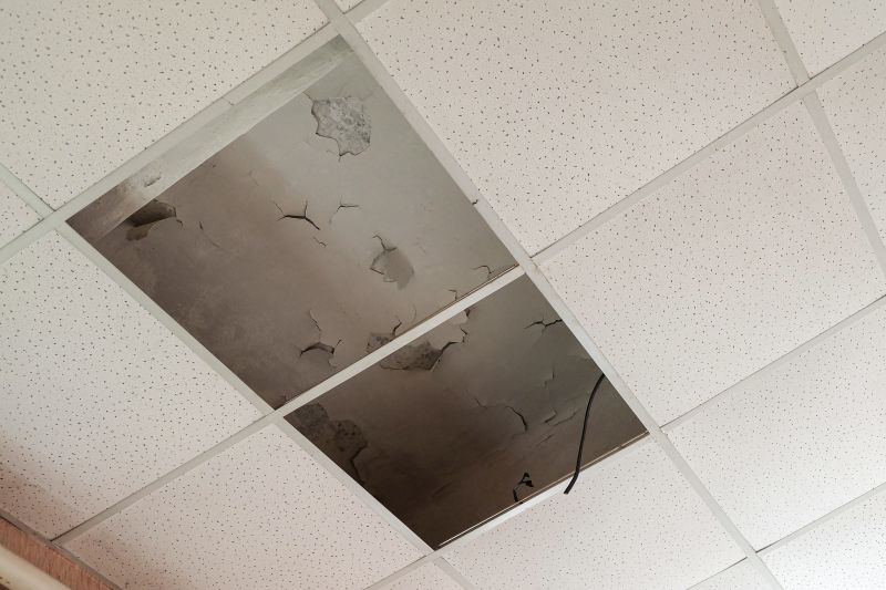 Water Damage Ceiling Repair in Houston, TX