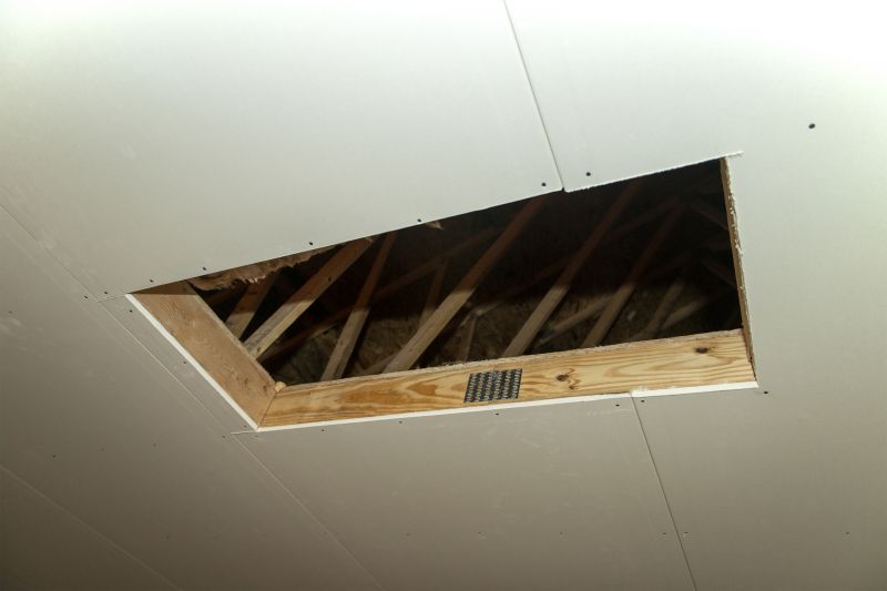 Attic Water Damage Repair in Alpharetta, GA