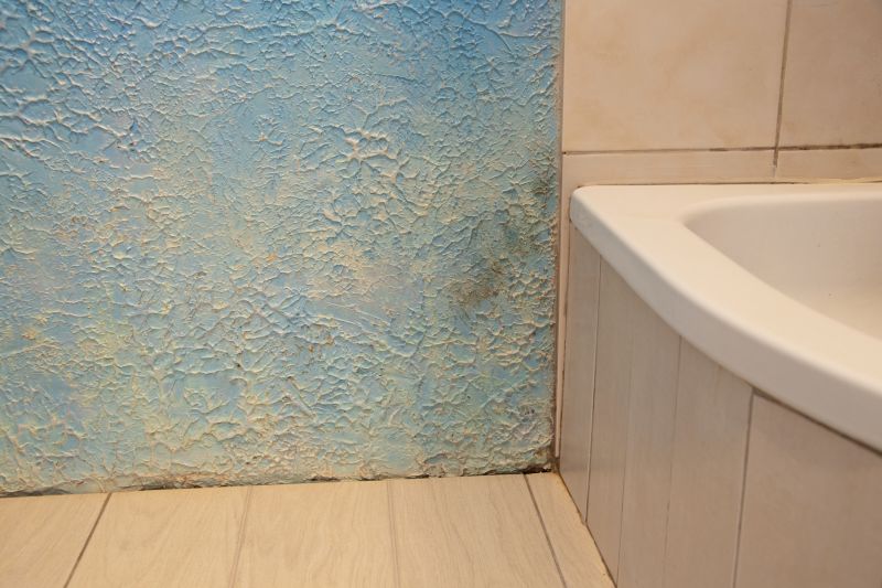 Bathroom Construction in Denver, CO