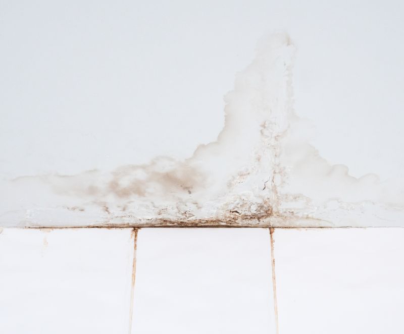 Bathroom Floor Replacement in Denver County, CO