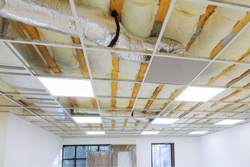 Ceiling Removal Service in Santa Rosa, CA