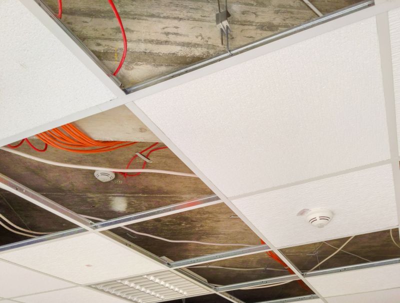 Ceiling Removal Service in Houston, TX