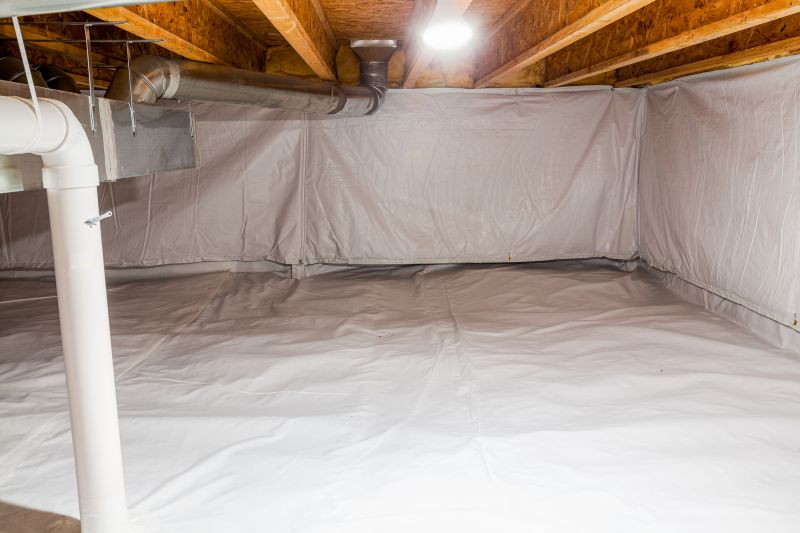 Crawl Space Remediation in Denver, CO