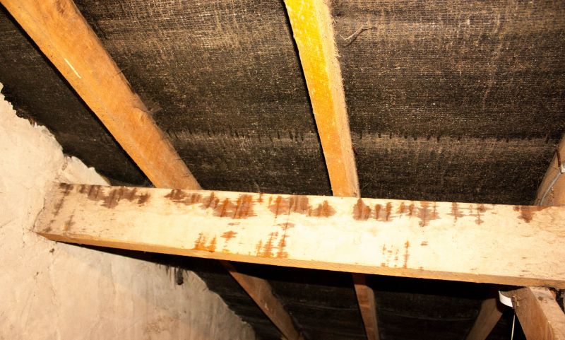 Home Restoration in Alpharetta, GA