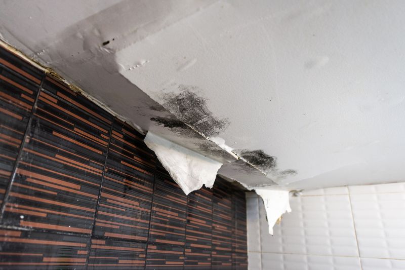 Leaking Ceiling Repair in Houston, TX